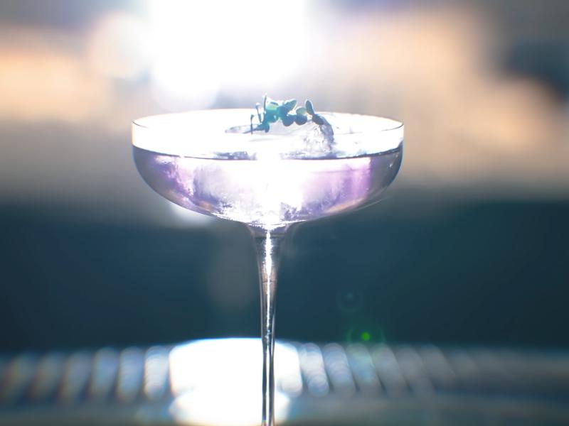 The Best Cocktail 
